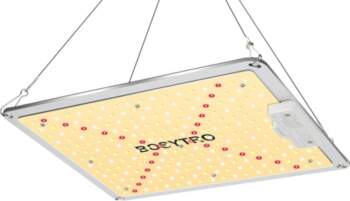 Bosytro B-3 LED