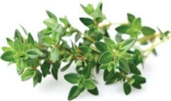 Click&Grow SGR17X3