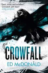 Crowfall: The Raven`s Mark Book Three