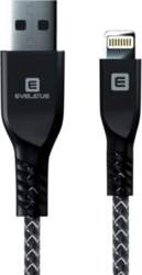 Evelatus MFI02