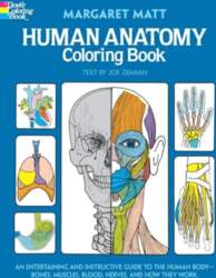 Human Anatomy