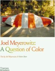 Joel Meyerowitz: A Question of Color