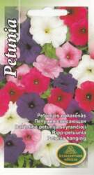 Petūnijas