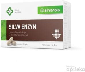 Silva Enzym kaps. N30