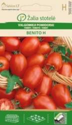 TOMĀTI BENITO H