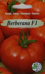 Tomāti Berberana F1