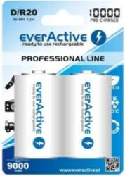 Baterijas everActive D "Ready to
