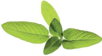 Click & Grow SGR7X3