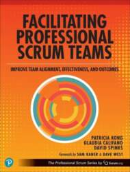 Facilitating Professional Scrum Teams: Improve Team