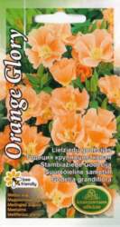 Godēcijas orange glory