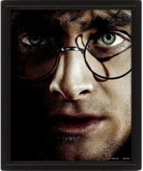 Harry Potter vs Voldemort, 20x25 cm