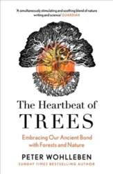 Heartbeat of Trees