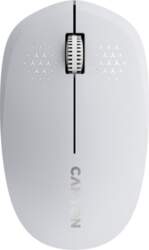 Input Devices - Mouse Box CANYON