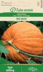 Ķirbju Big Max