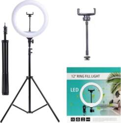 LED Lamp
