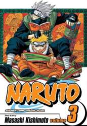 Naruto, Vol. 3