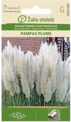 Pampas zāle