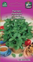 PIPIRMĖTĖ -