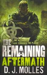 Remaining: Aftermath