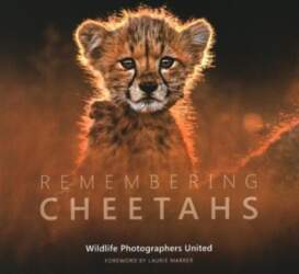Remembering Cheetahs, Remembering Cheetahs