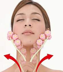 Sejas masieris Bloom