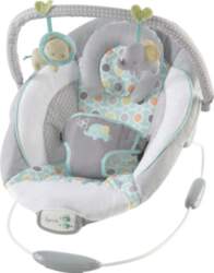 Šūpuļkrēsls Ingenuity Morrison 11203, Grey/Turquoise