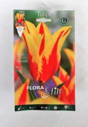 Tulpes Firework Flora Elite, 7 gab
