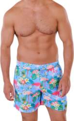 Vīriešu peldšorti, zili