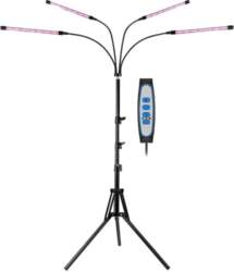 Wolezek BL-C80D
