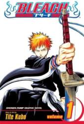 Bleach, Vol. 1