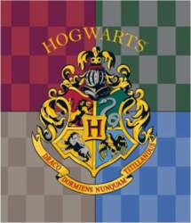 Harry Potter sega, 120x150 cm