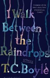 I Walk Between the Raindrops