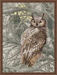 Krustdūrienu komplekts Eagle Owl         RIOLPT-0038
