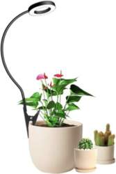 LED augu gaisma