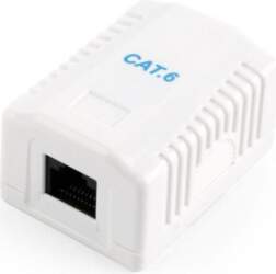 Network socket CAT6 UTP single port