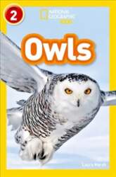 Owls: Level 2, Owls: Level 2