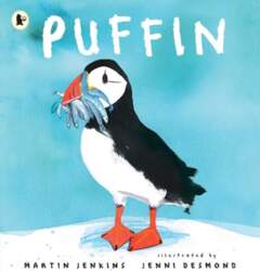 Puffin