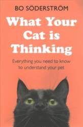 What Your Cat Is Thinking: Everything