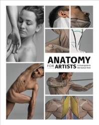 Anatomy for Artists: A visual guide