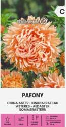 ASTERES PAEONY