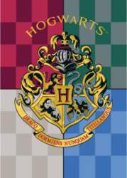 Bērnu pleds Harry Potter, 100x140 cm