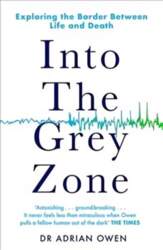 Into the Grey Zone: Exploring the