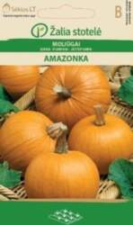 ĶIRBJI AMAZONKA