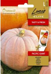 ĶIRBJI PACIFIC GIANT