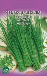 LAIŠKINIS ČESNAKAS -