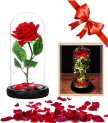 LED Stabilized Eternal Rose with Red