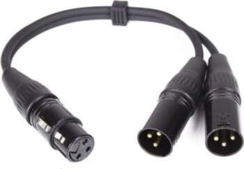Master audio CY099