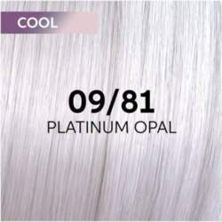 Matu krāsa Wella Professionals Shinefinity Glaze