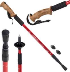 Nūjošanas korķa nūja
