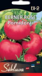 Tomātu sēklas Berber rose